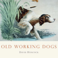 Old Working Dogs