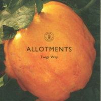 Allotments by Twigs Way