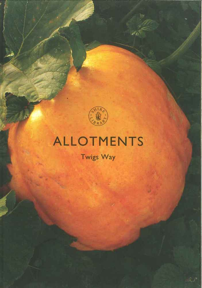 Allotments by Twigs Way