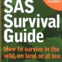 SAS Survival Guide