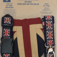 Dog Bandana, Collar & Lead Set - Large