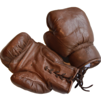 Vintage Leather Boxing Gloves