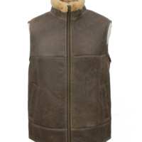 Henry Gilet