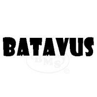 Batavus