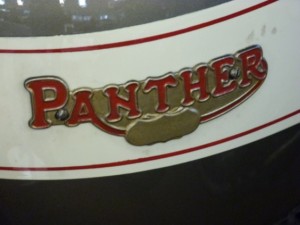 panther